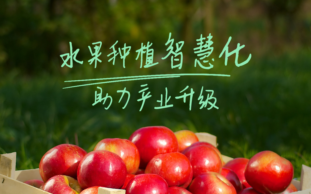 赛通科技发布今年会jinnianhui智慧果园解决方案